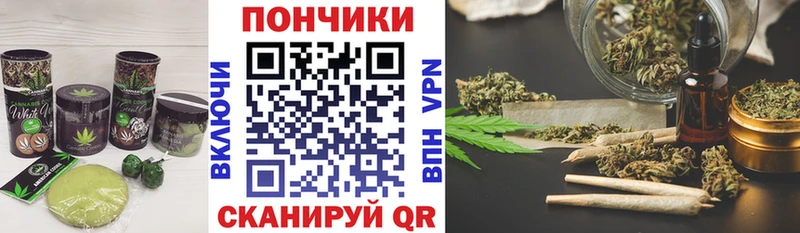Cannafood конопля  продажа наркотиков  Миллерово 