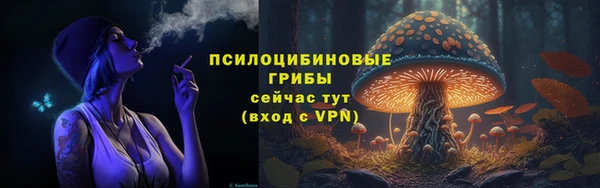 мескалин Богданович